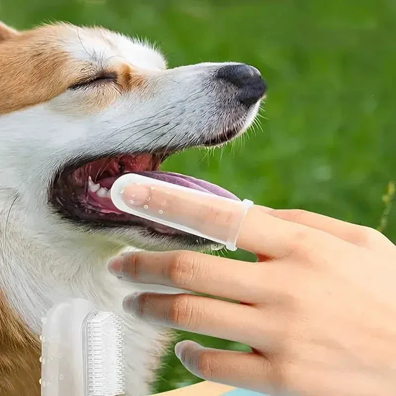 Finger Toothbrush For Dogs and Cats - A-1 Thread Vault