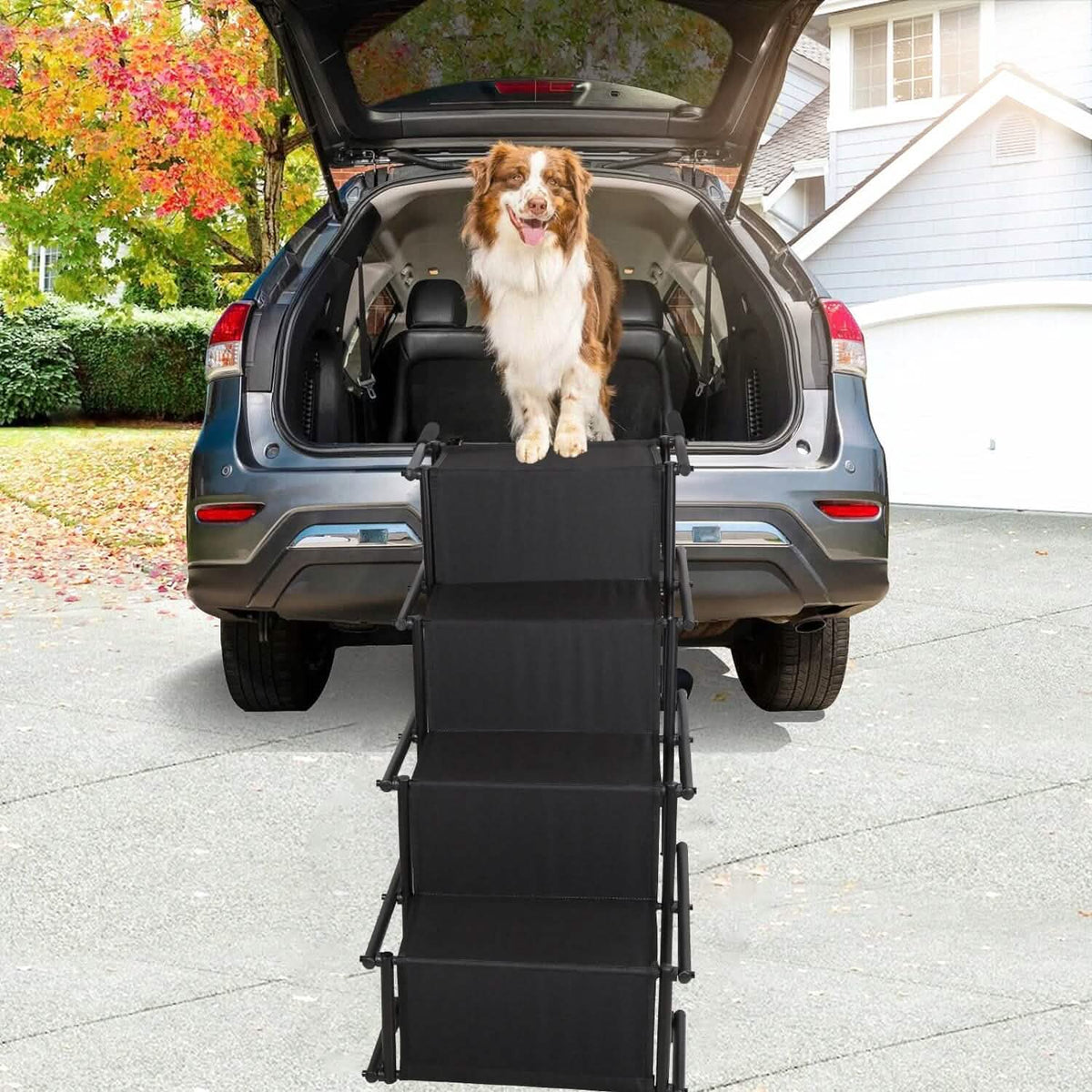 Foldable Dog Ramp 4 Step Collapsible Non Slip Stairs - A-1 Thread Vault