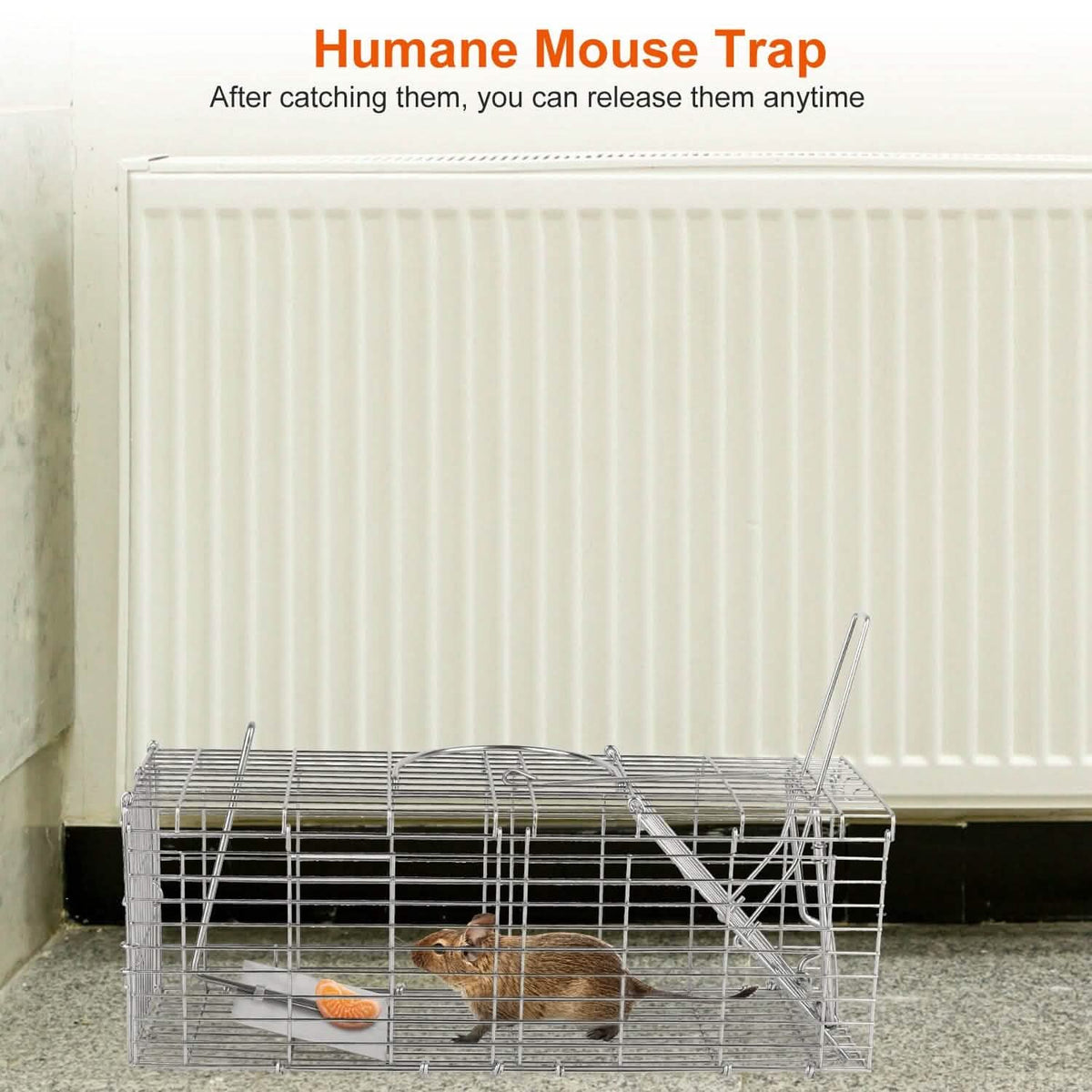 Foldable Rat Trap Cage Humane Live Rodent Trap Cage - A-1 Thread Vault