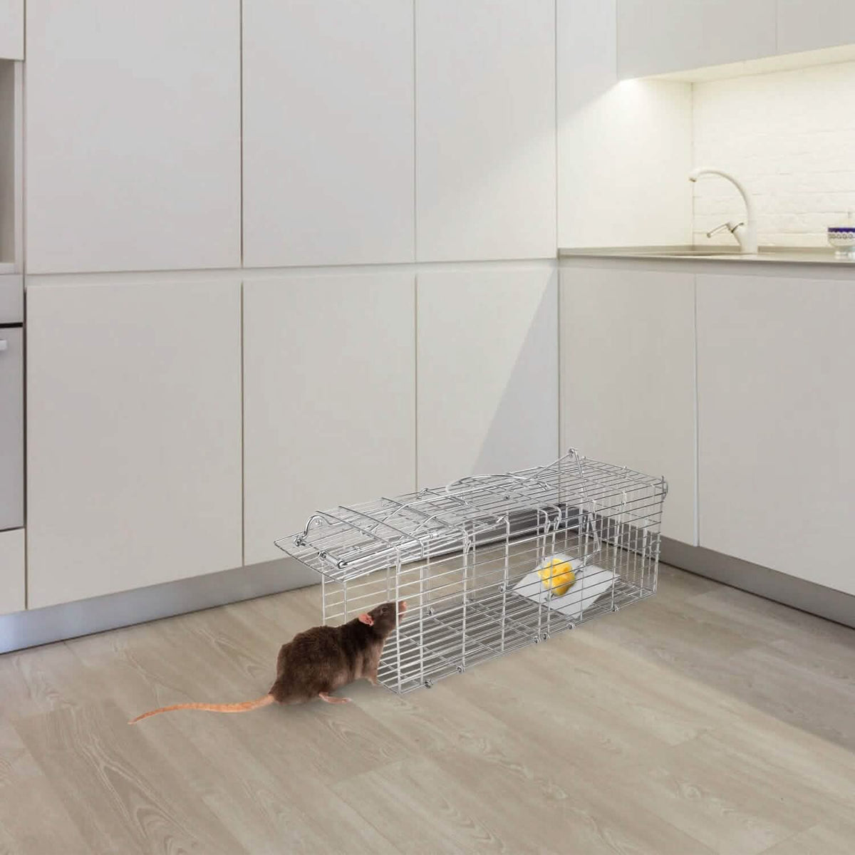 Foldable Rat Trap Cage Humane Live Rodent Trap Cage - A-1 Thread Vault