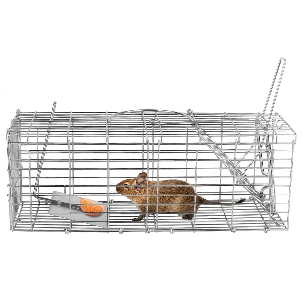 Foldable Rat Trap Cage Humane Live Rodent Trap Cage - A-1 Thread Vault