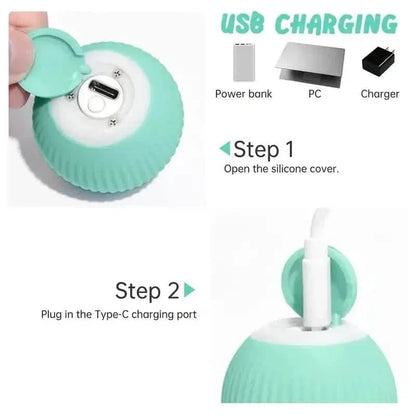 Found Notice Smart Interactive Cat Toy - A-1 Thread Vault