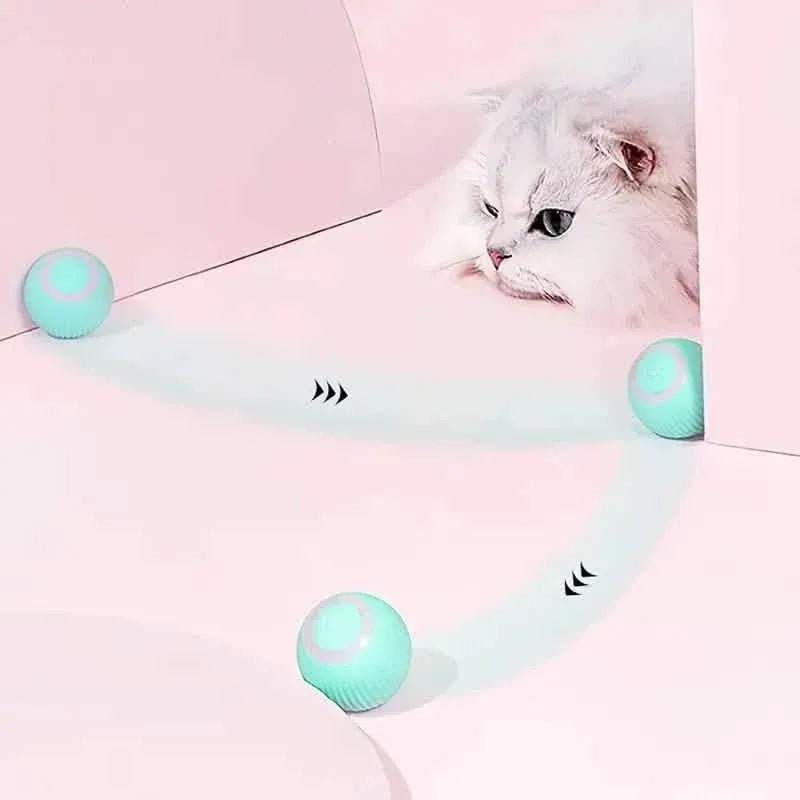 Found Notice Smart Interactive Cat Toy - A-1 Thread Vault