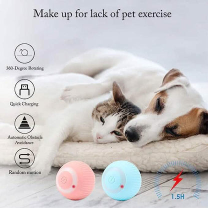 Found Notice Smart Interactive Cat Toy - A-1 Thread Vault
