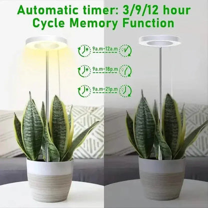 Full Spectrum LED Halo Plant Light With Stand Height Adjustable Auto Timer - A-1 Thread Vault