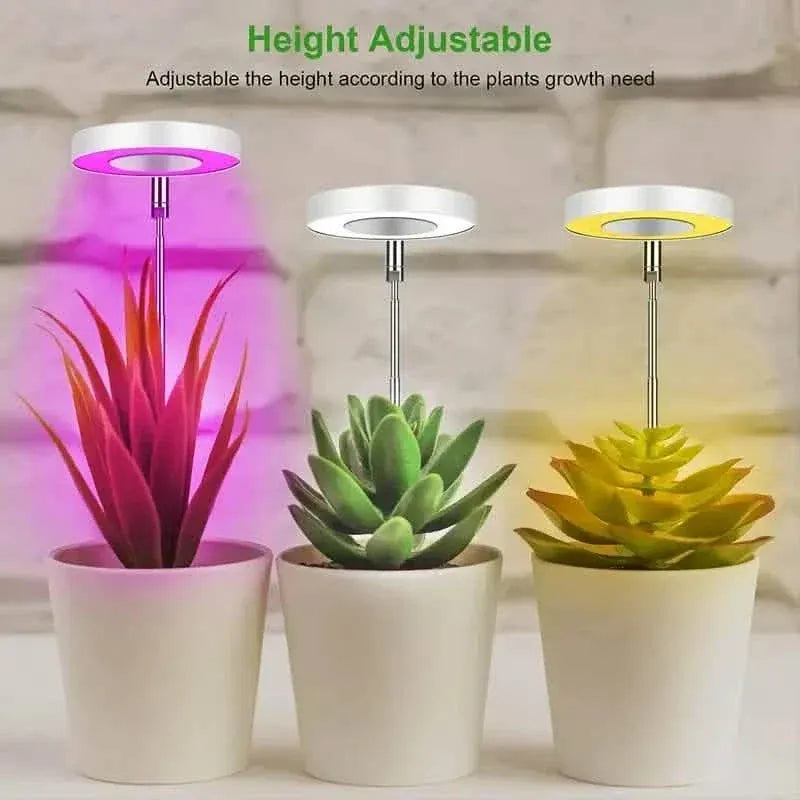 Full Spectrum LED Halo Plant Light With Stand Height Adjustable Auto Timer - A-1 Thread Vault