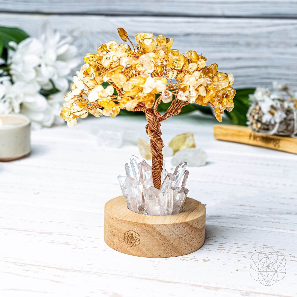 Golden Lamp of Wealth - Citrine Tree - A-1 Thread Vault