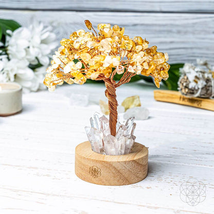 Golden Lamp of Wealth - Citrine Tree - A-1 Thread Vault