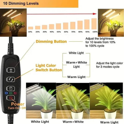 Grow Lights for Seed Starting Auto ON & Off Full Spectrum LED Plant Lights with Timer - A-1 Thread Vault