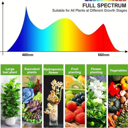 Grow Lights for Seed Starting Auto ON & Off Full Spectrum LED Plant Lights with Timer - A-1 Thread Vault