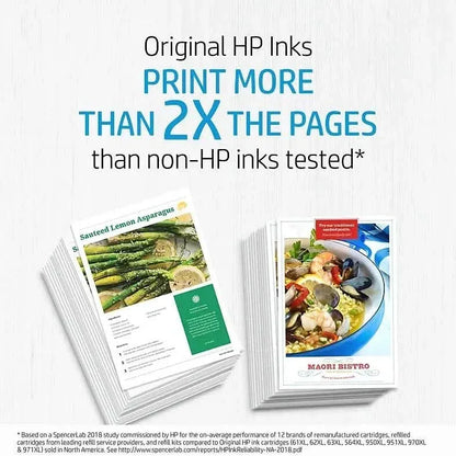 HP 67 Original Ink Cartridge 3YM55AN 3YM56AN - A-1 Thread Vault