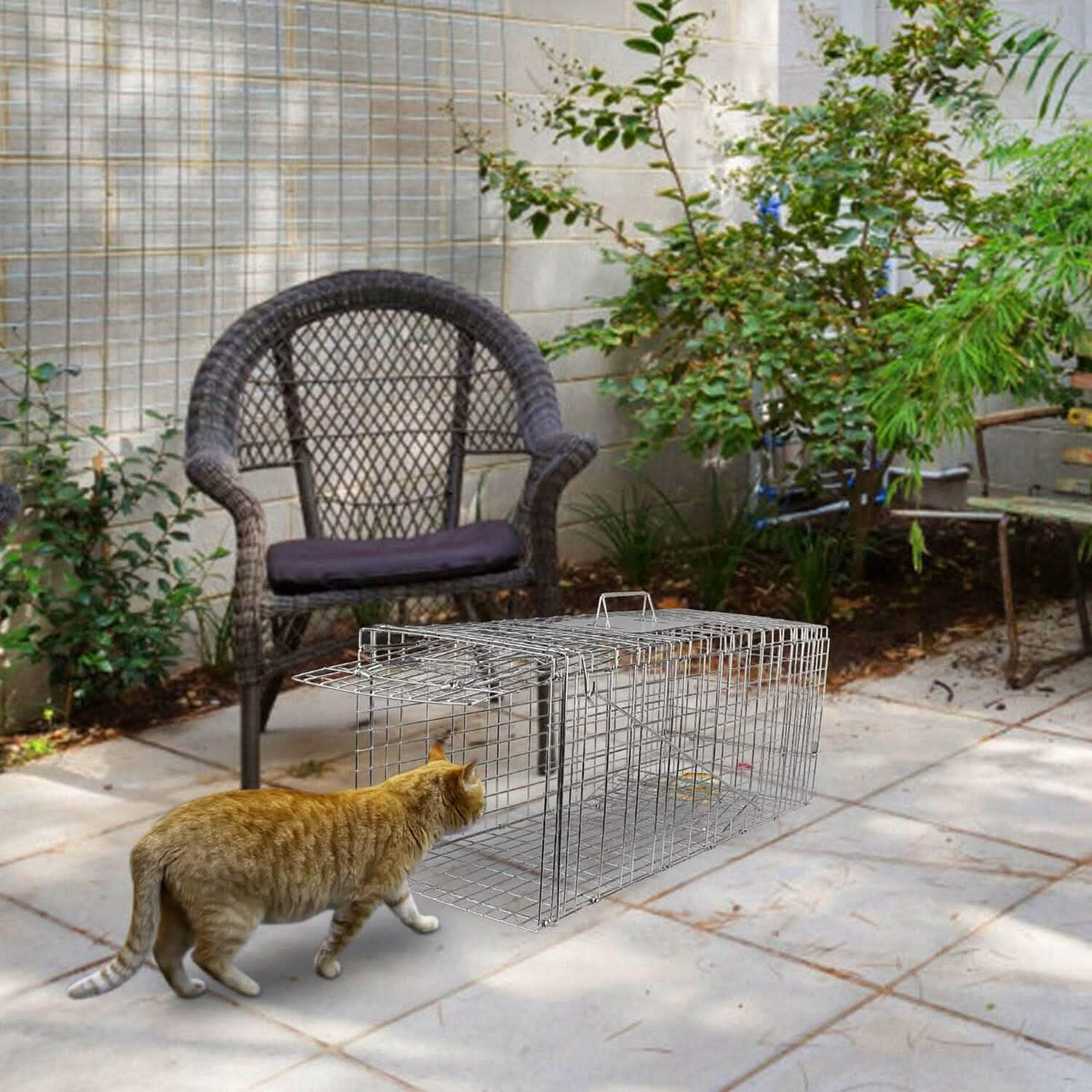 Humane Catch Release Live Animal Collapsible Galvanized Wire Trap Cage - A-1 Thread Vault