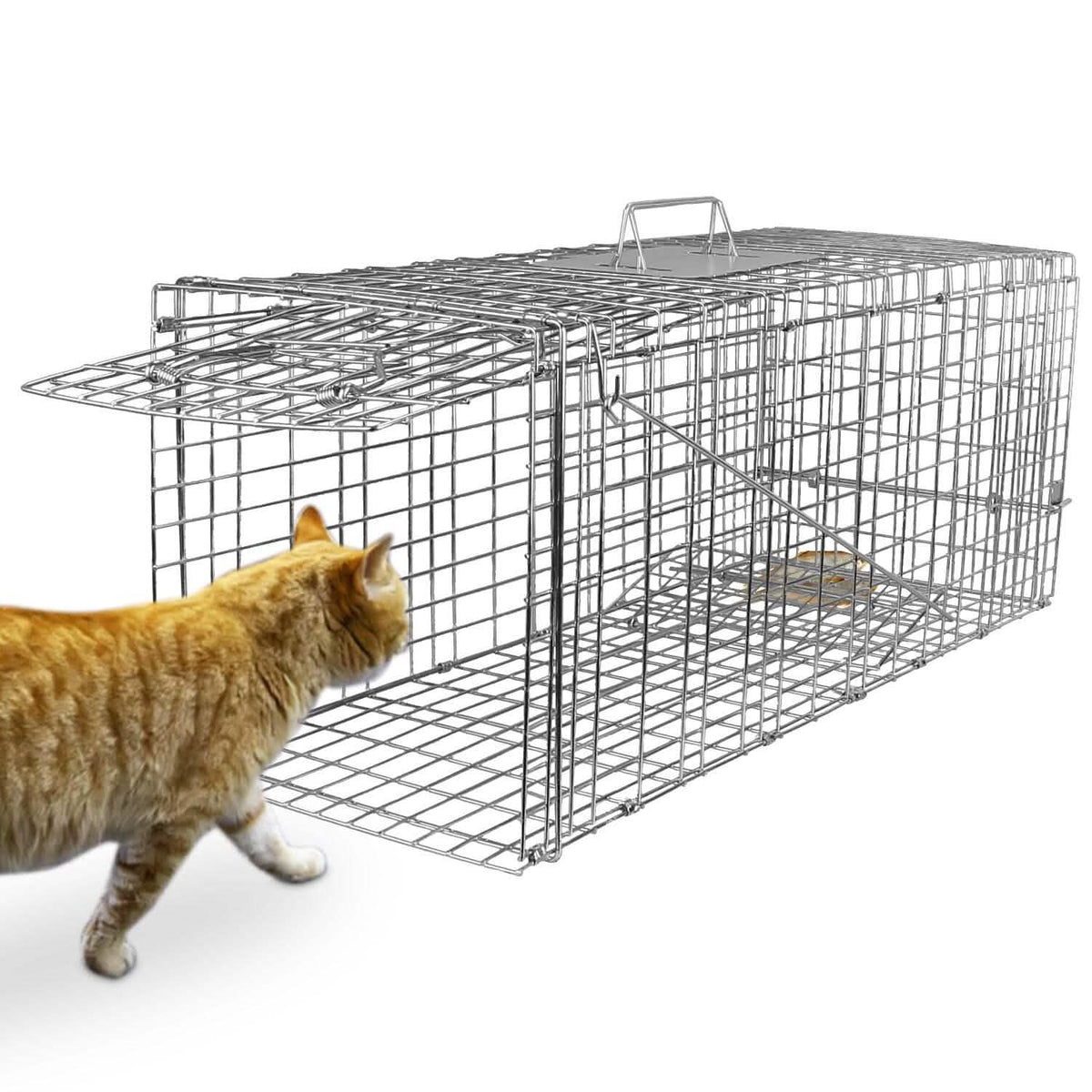 Humane Catch Release Live Animal Collapsible Galvanized Wire Trap Cage - A-1 Thread Vault