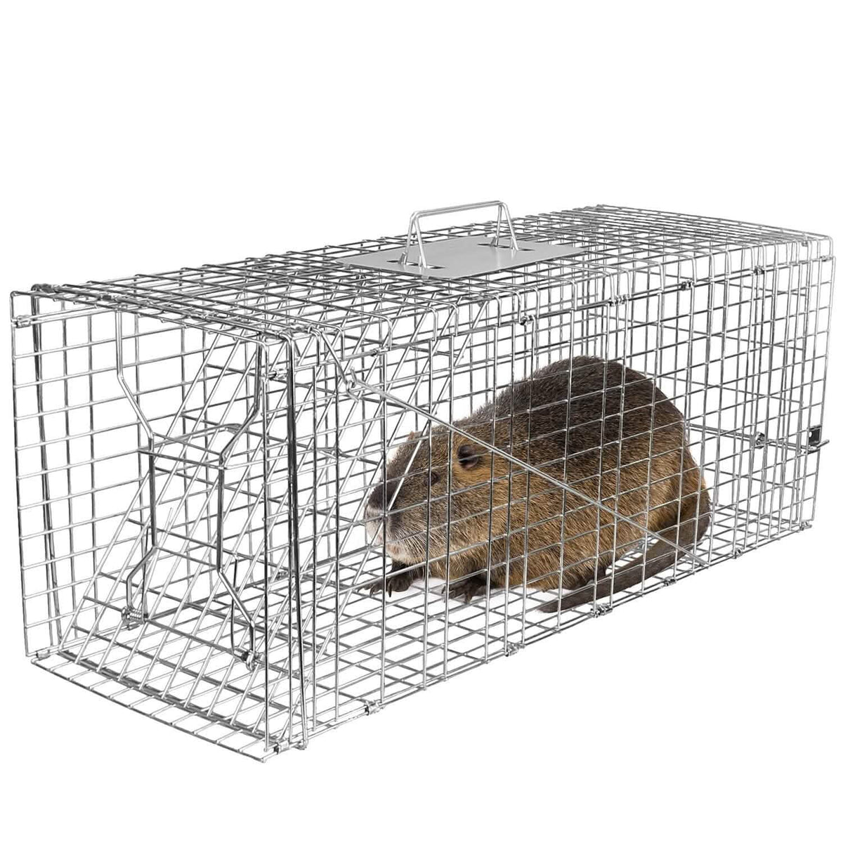 Humane Catch Release Live Animal Collapsible Galvanized Wire Trap Cage - A-1 Thread Vault