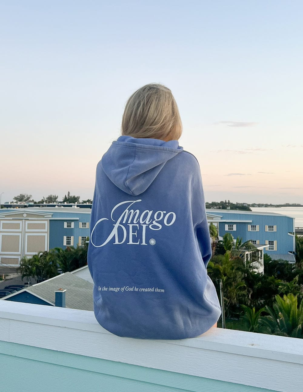 Imago Dei Unisex Hoodie - A-1 Thread Vault