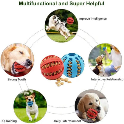 Interactive Elastic Puppy Chew Toy - A-1 Thread Vault