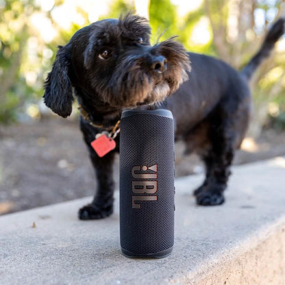 JBL Flip 6 Portable Bluetooth Speaker (Refurbished) - A-1 Thread Vault