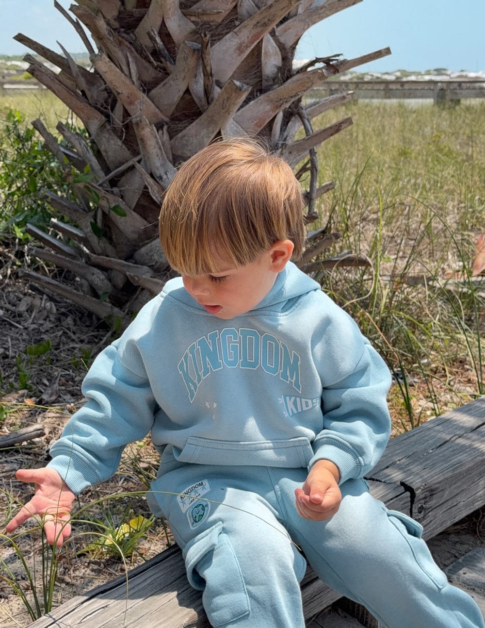 Kingdom Kids Hoodie - A-1 Thread Vault