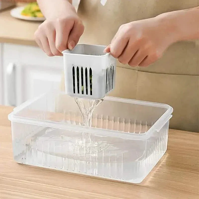 Kitchen Scallion Storage Box - A-1 Thread Vault