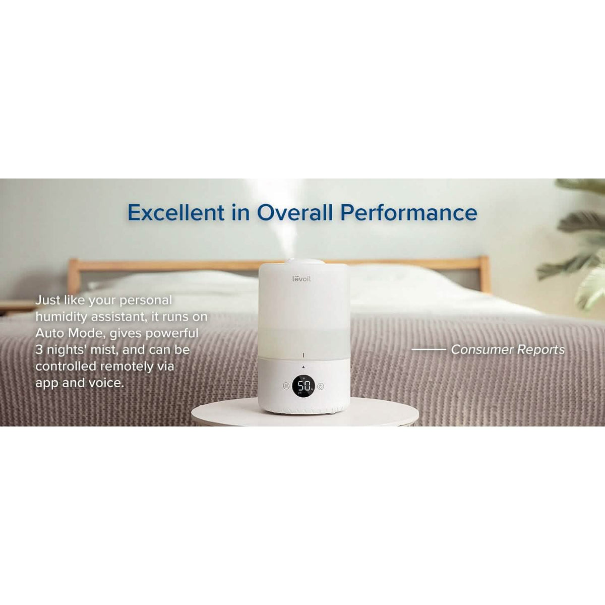 LEVOIT Dual200S Smart Cool Mist Humidifier - A-1 Thread Vault