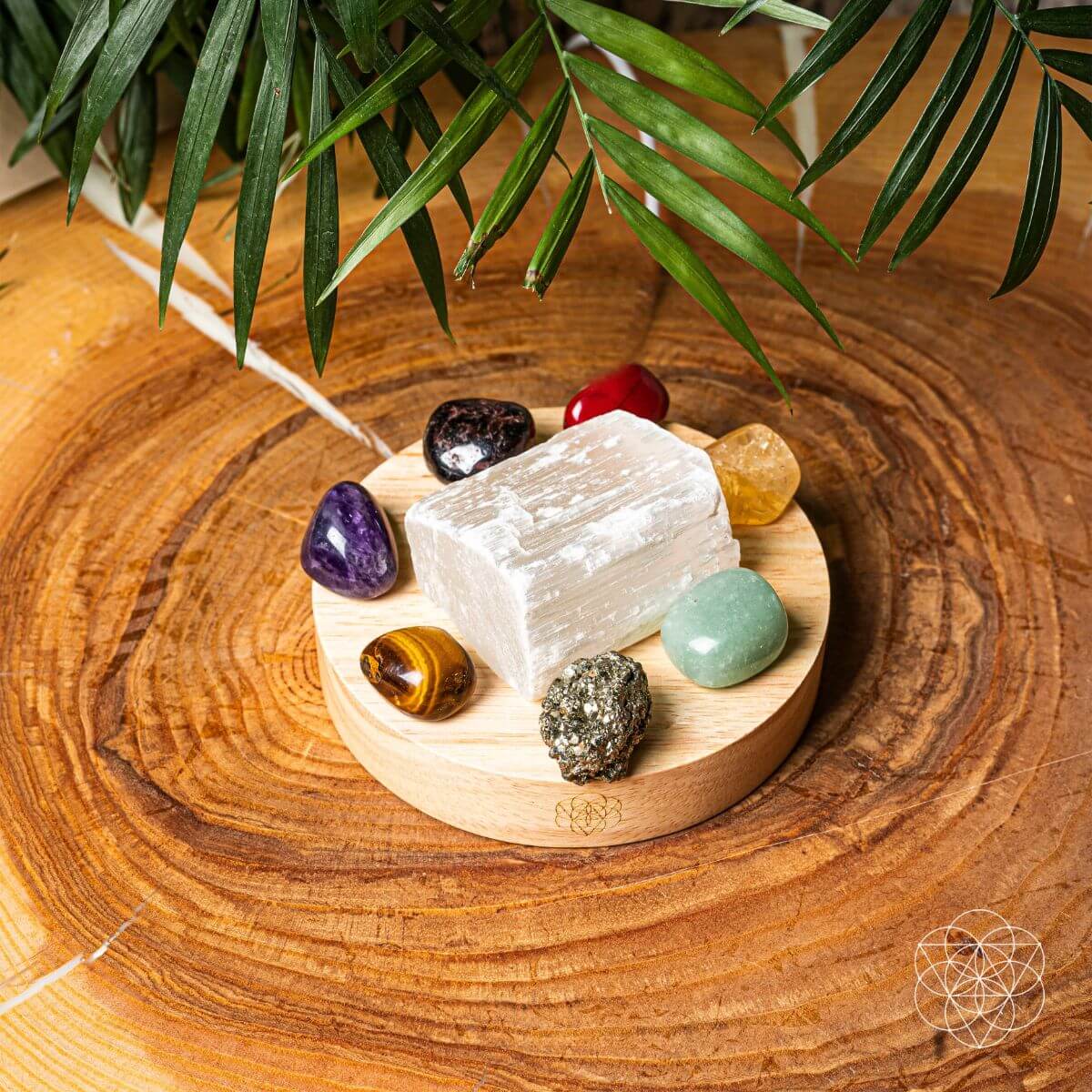 Money-Magnet Lamp - A-1 Thread Vault