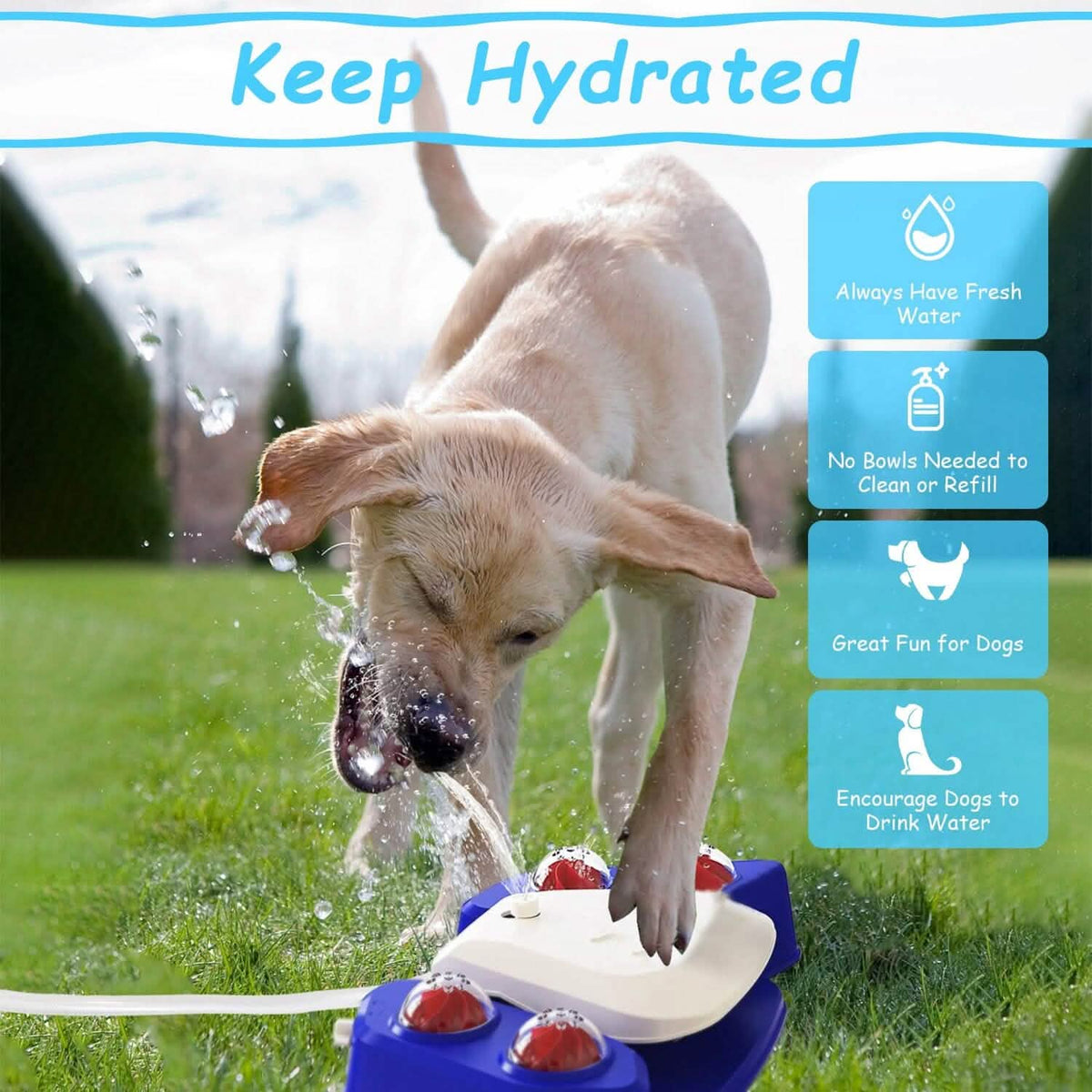 Multifunctional Automatic Pet Water Dispenser Outdoor Step-on Activated Sprinkler - A-1 Thread Vault