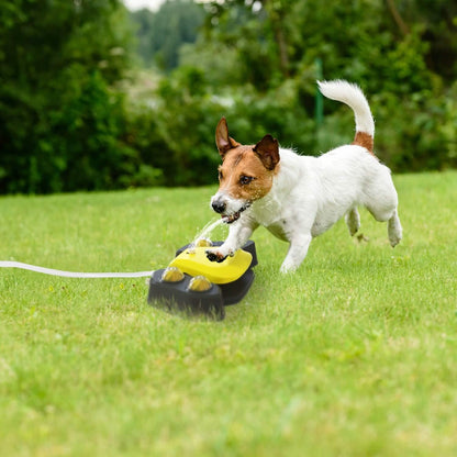 Multifunctional Automatic Pet Water Dispenser Outdoor Step-on Activated Sprinkler - A-1 Thread Vault