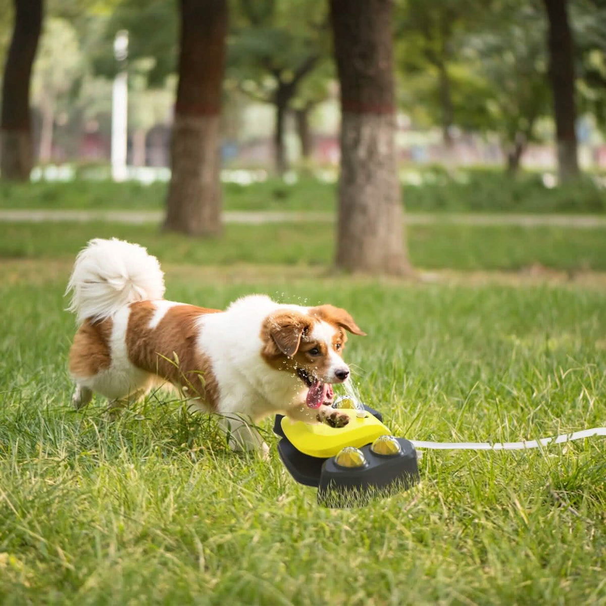 Multifunctional Automatic Pet Water Dispenser Outdoor Step-on Activated Sprinkler - A-1 Thread Vault