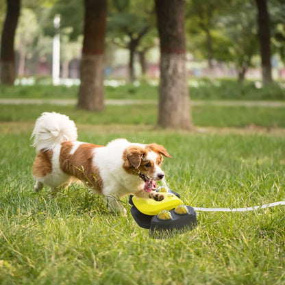 Multifunctional Automatic Pet Water Dispenser Outdoor Step-on Activated Sprinkler - A-1 Thread Vault