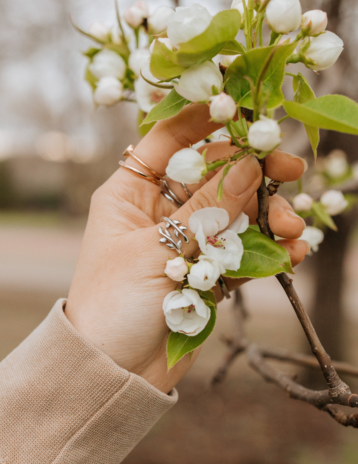 Olive Branch Ring - A-1 Thread Vault