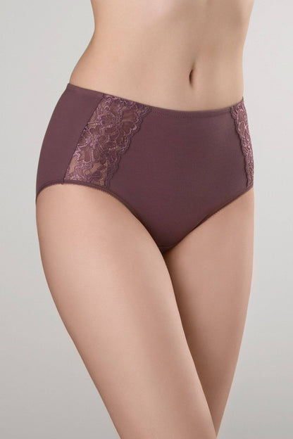 High-waisted plum-colored briefs featuring decorative lace side panels on a model.