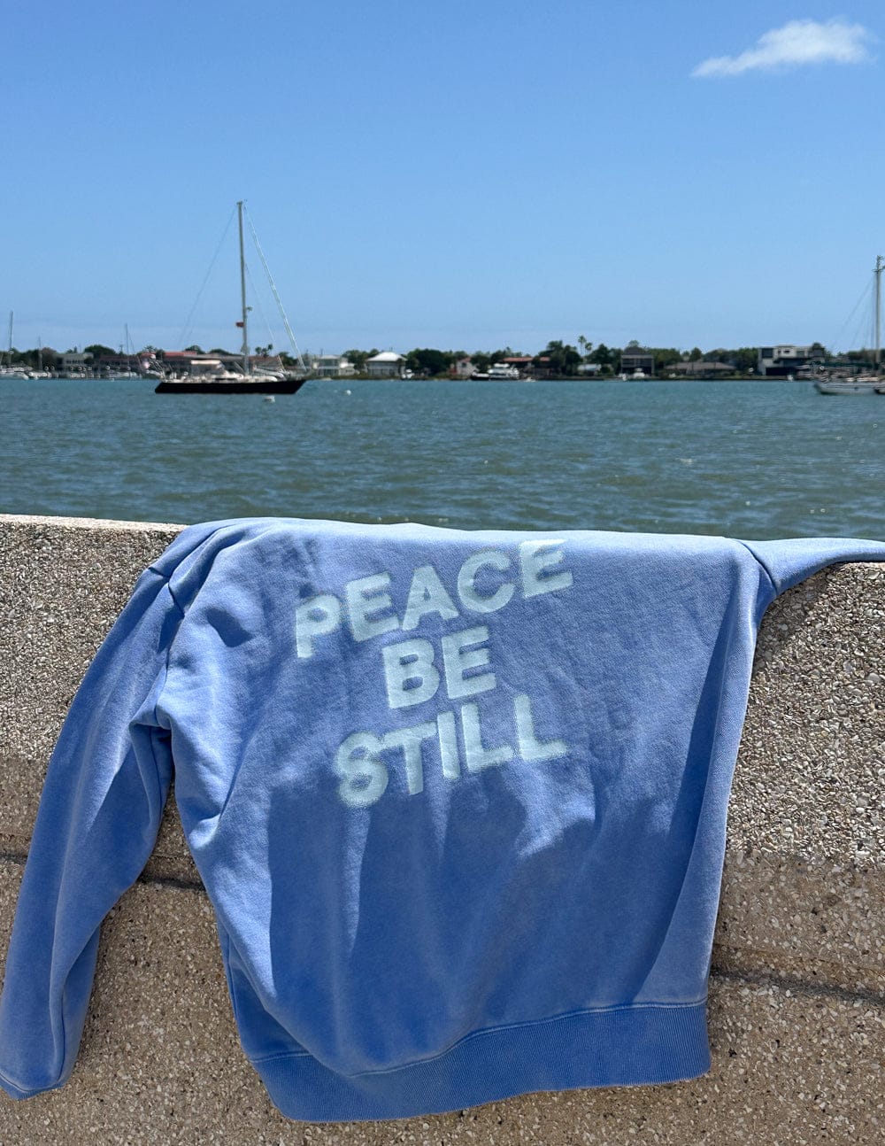 Peace Be Still Unisex Hoodie - A-1 Thread Vault