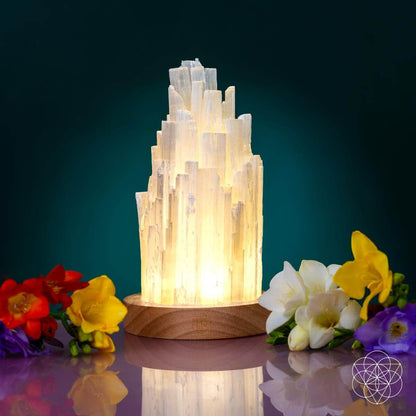 Peace & Purification Duo - A-1 Thread Vault