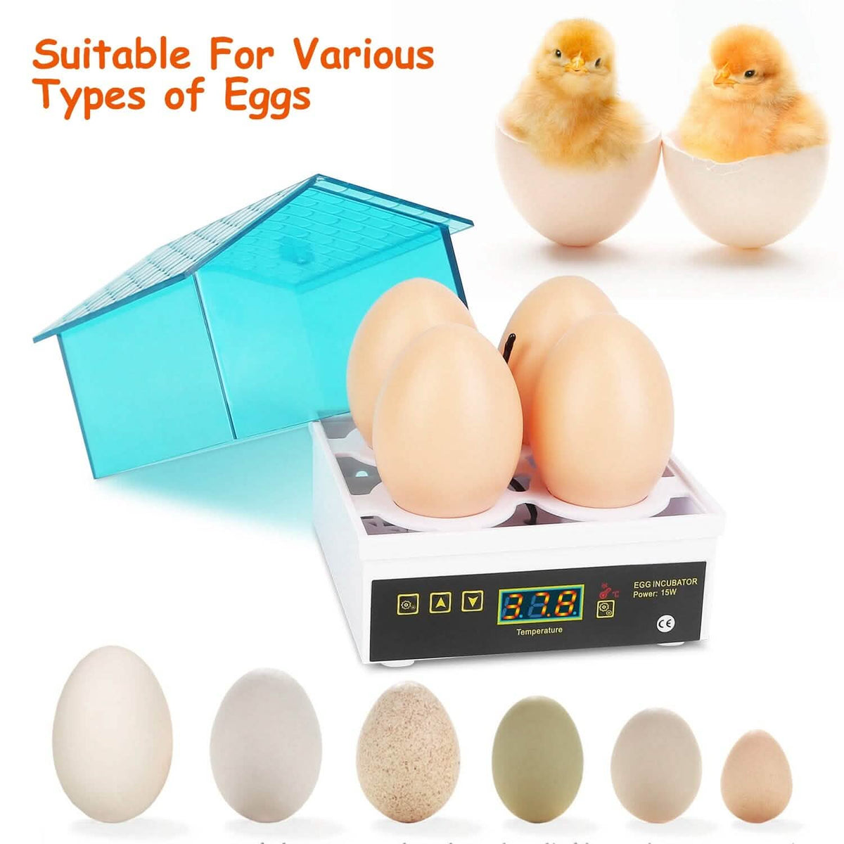 Professional Poultry Hatcher with Digital Display Automatic Temperature Humidity - A-1 Thread Vault