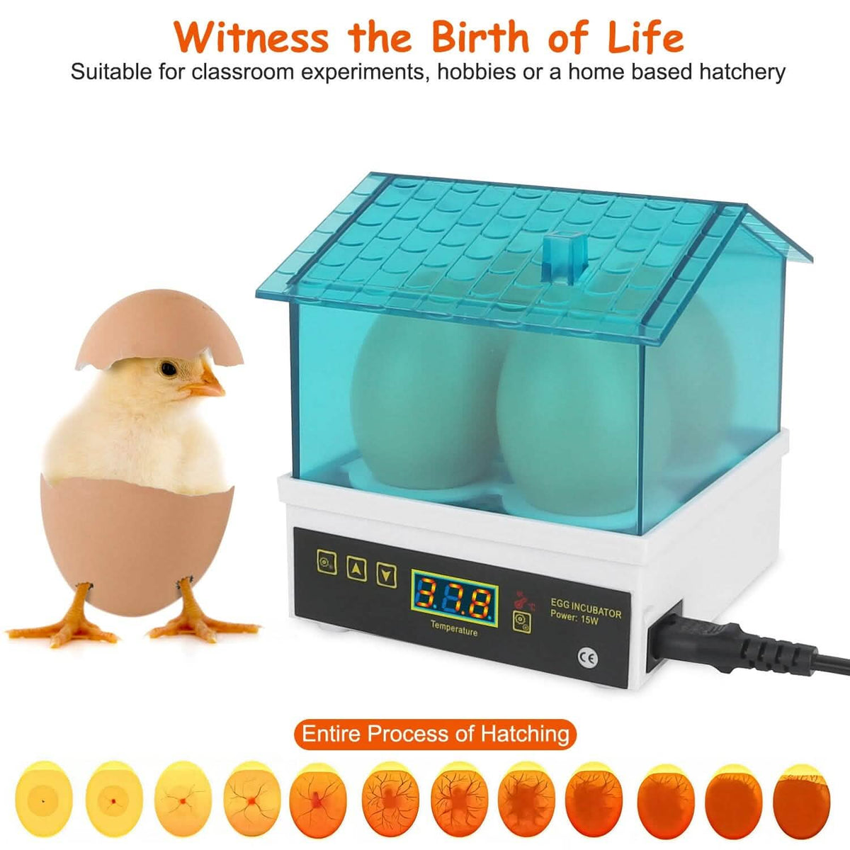 Professional Poultry Hatcher with Digital Display Automatic Temperature Humidity - A-1 Thread Vault