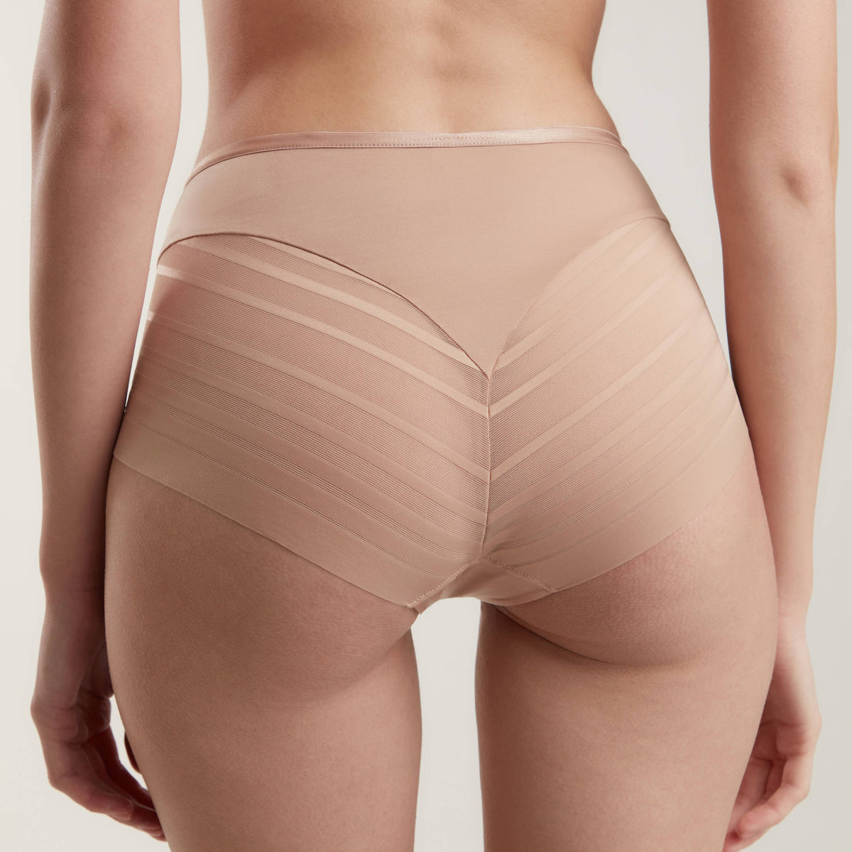 Nude-colored high-cut briefs with a solid waistband and sheer striped detailing across the back.