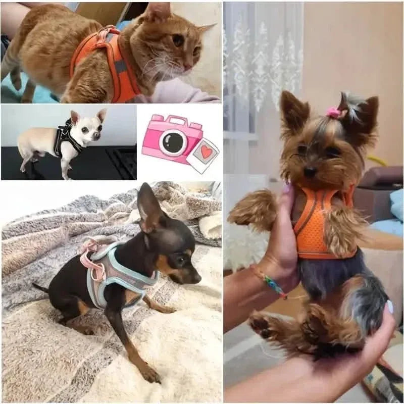 Reflective Dogs Harness with Leash Adjustable Harness Vest Breathable Collars - A-1 Thread Vault