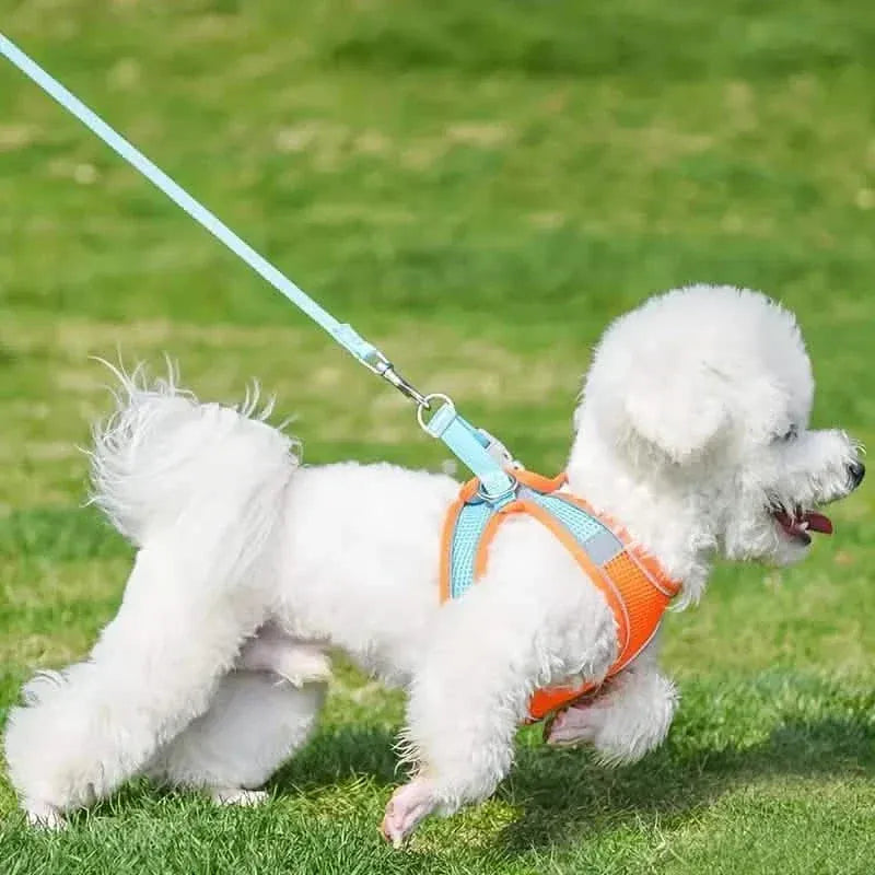 Reflective Dogs Harness with Leash Adjustable Harness Vest Breathable Collars - A-1 Thread Vault