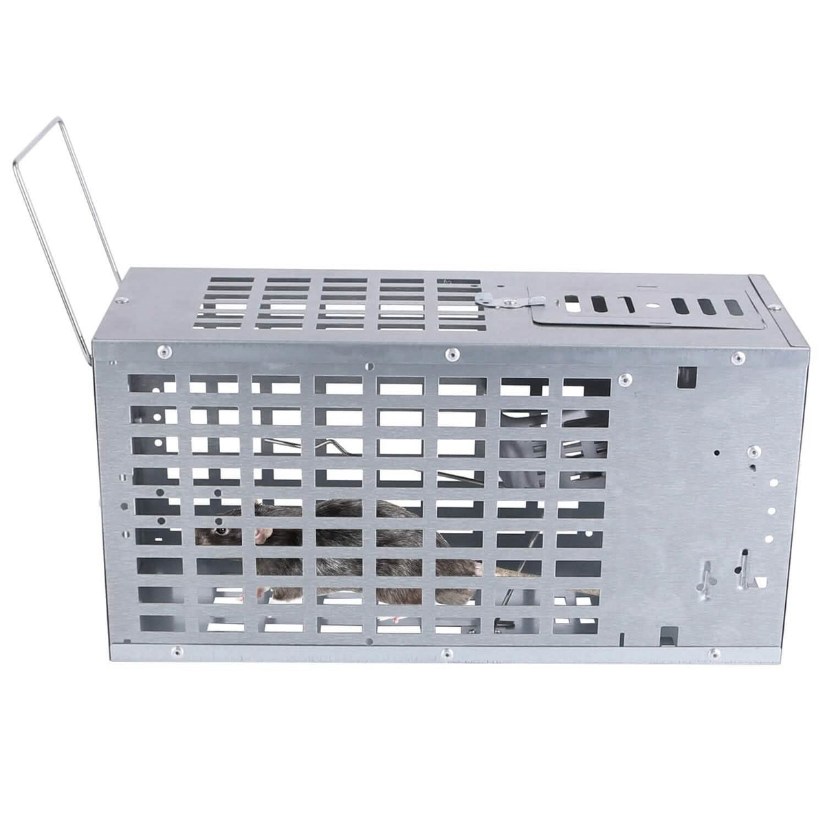 Reusable Metal Rat Cage Catch Release Continuous Capture - A-1 Thread Vault