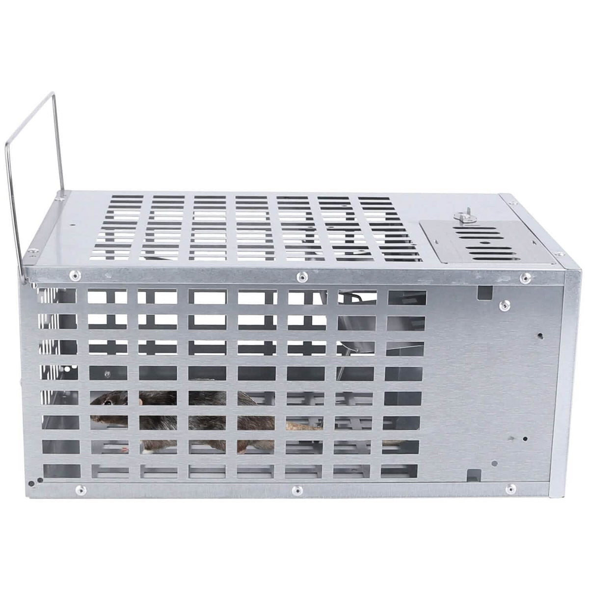 Reusable Metal Rat Cage Catch Release Continuous Capture - A-1 Thread Vault