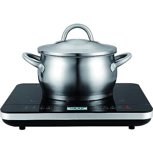 Salton Induction Cooktop with Temperature Probe - A-1 Thread Vault
