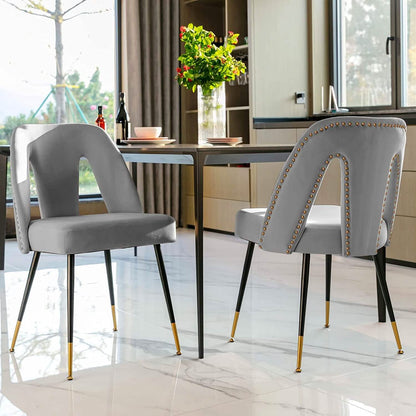 Set of 2: Modern Dining Chairs - A-1 Thread Vault