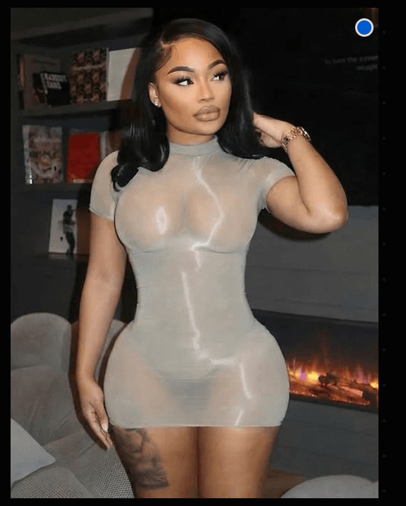 Sheer Mesh Short Sleeve Bodycon Mini Dress - A-1 Thread Vault
