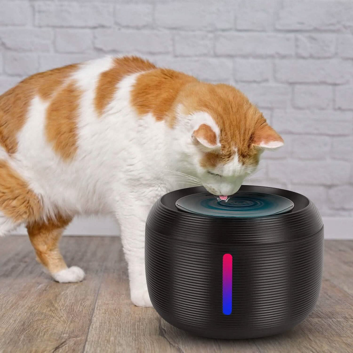 Smart Pet Drinking Fountain with LED Light 7-Pack Replaceable Water Filters - A-1 Thread Vault