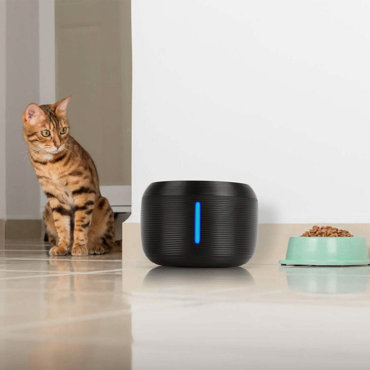 Smart Pet Drinking Fountain with LED Light 7-Pack Replaceable Water Filters - A-1 Thread Vault