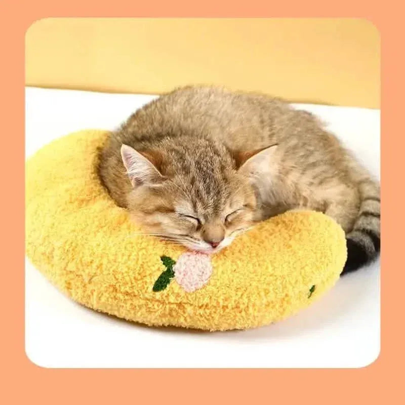Soft Fluffy Pillows For Indoor Cats - A-1 Thread Vault