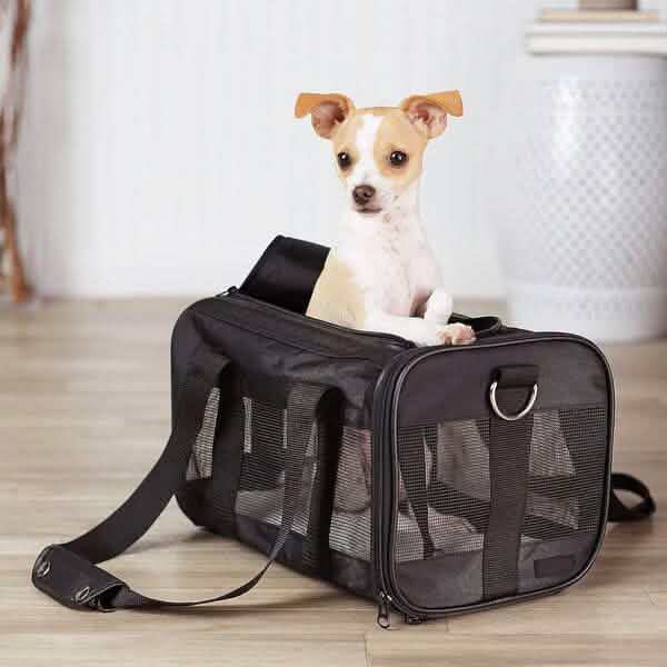 Soft-Sided Mesh Pet Travel Carrier - A-1 Thread Vault