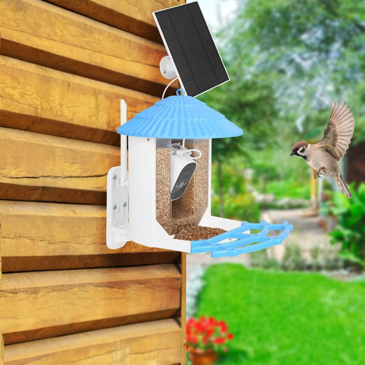 Solar Powered Smart Bird Feeder with PIR Motion AI Two-Way Audio - A-1 Thread Vault