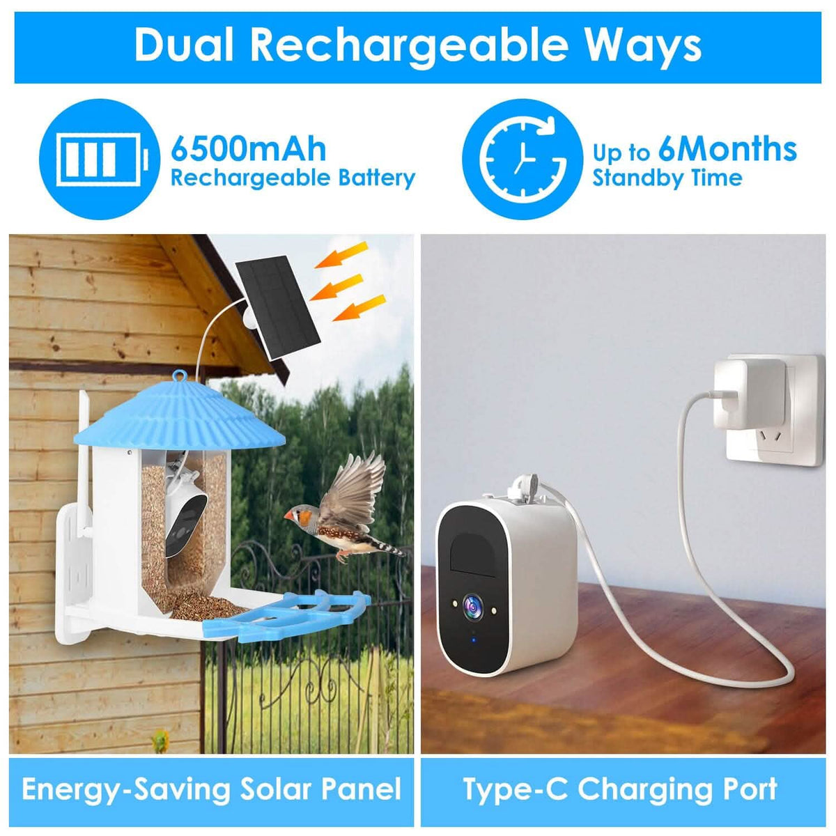 Solar Powered Smart Bird Feeder with PIR Motion AI Two-Way Audio - A-1 Thread Vault