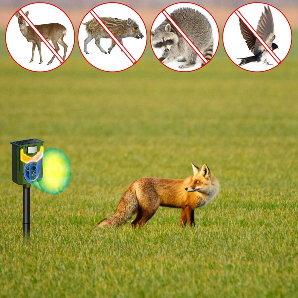 Solar Ultrasonic Animal Repeller with Flame Light USB Charge Motion Sensor - A-1 Thread Vault